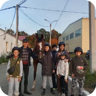 Sticker Лошадки - 11