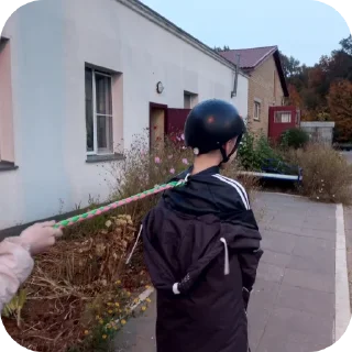 Sticker Лошадки - 8