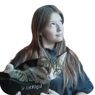 Sticker Лошадки - 5