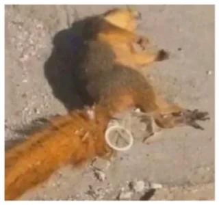 Стикер Пруфиксы - 0