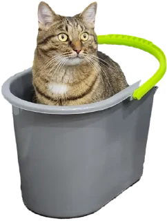 Стикер Лосось - 1