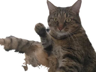 Стикер Лосось - 2