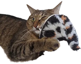 Стикер Лосось - 11