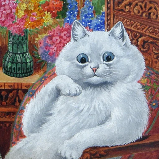 small to medium-sized cats cat domestic cat