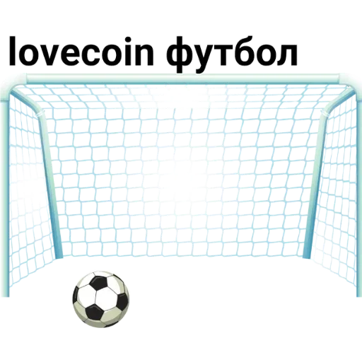 ball football net