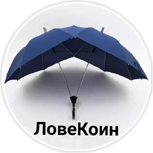accessory umbrella