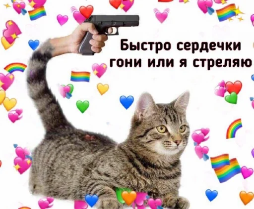 @ProvinsiaAlkashki - животное