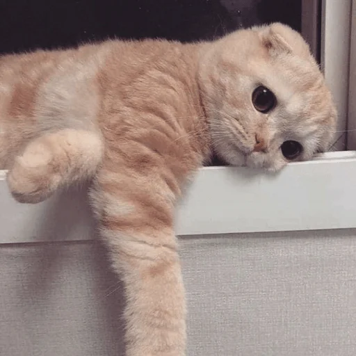 Sticker Оverdose of cutie? - 9