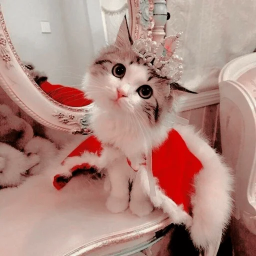 Sticker Оverdose of cutie? - 8