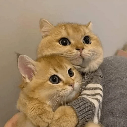 Sticker Оverdose of cutie? - 7