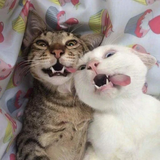 Sticker Оverdose of cutie? - 5