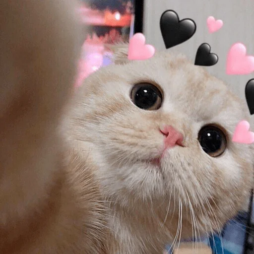 Sticker Оverdose of cutie? - 4