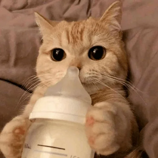 Sticker Оverdose of cutie? - 0