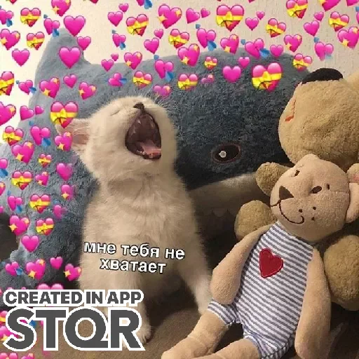 Стикер Lovecat by @stqrapp - 11