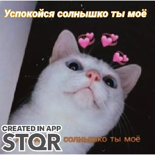 Стикер Lovecat by @stqrapp - 9
