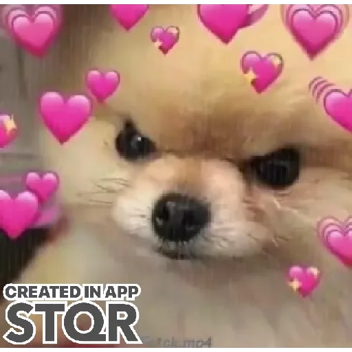 Стикер Lovecat by @stqrapp - 5