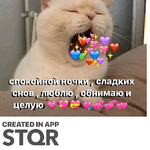 Стикер Lovecat by @stqrapp - 4