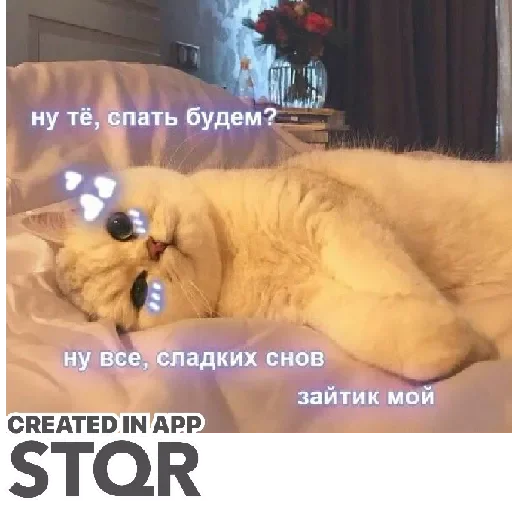 Стикер Lovecat by @stqrapp - 1
