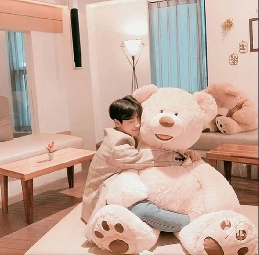 комнатный Тедди мебель