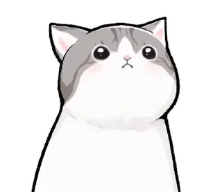 Стикер котики by @cute_stickers_emoji - 5