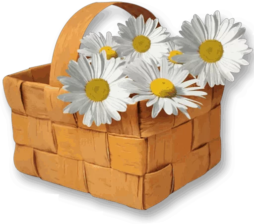 flower container basket
