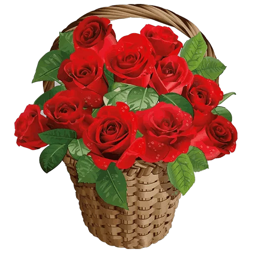 flower rose cut flowers