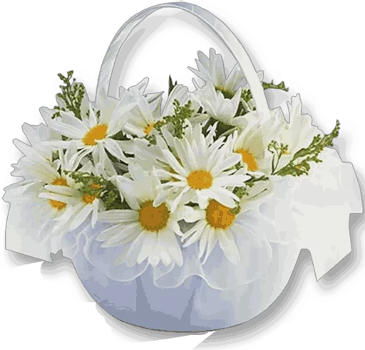 flower petal floral design