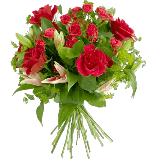 flower plant floristry