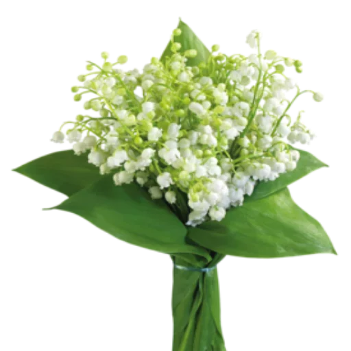 Стикер Loveoops_Flower5 - 1