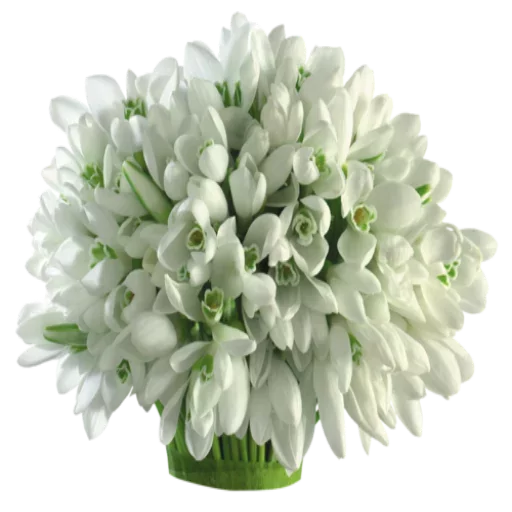 Стикер Loveoops_Flower5 - 1