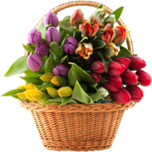 ✨ @Loveoops ✨ : Flower5 - 