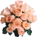 Стикер ✨ @Loveoops ✨ : Flower5 - 3