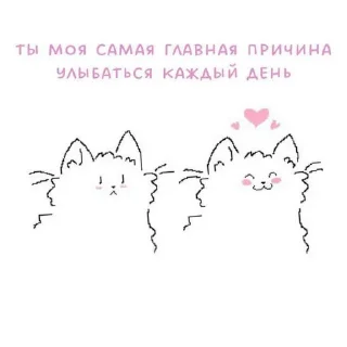 Стикер Стикеры от @zlokotik - 8