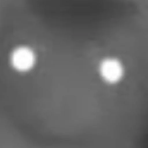 Sticker LowResFerrets - 1