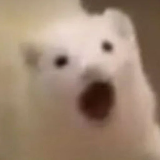 Sticker Low Res Ferrets - 11