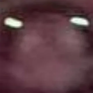 Sticker Low Res Ferrets - 9