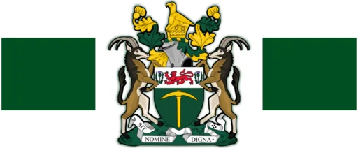 Sticker Löwe Stickerpack - 7