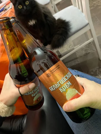 Стикер Loyal_sweet_by_TgEmodziBot - 1