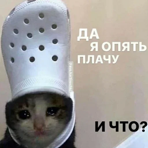 Стикер LtaLvitJ_by_stickers_stealer_bot - 1