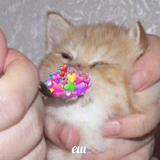 Sticker Любофффф - 9