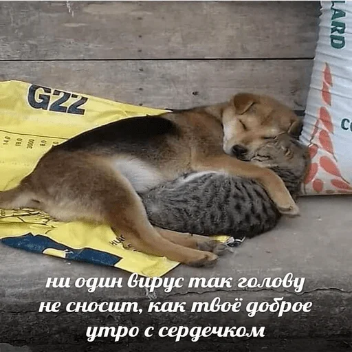 Sticker Любофффф - 8