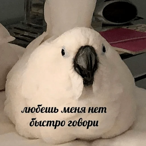 Sticker Любофффф - 6