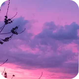 Sticker Лучшая Екатеридзе - 10