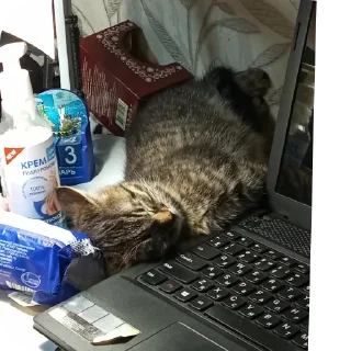 Sticker Лучшая Екатеридзе - 6