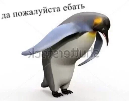 животное птица водная птица