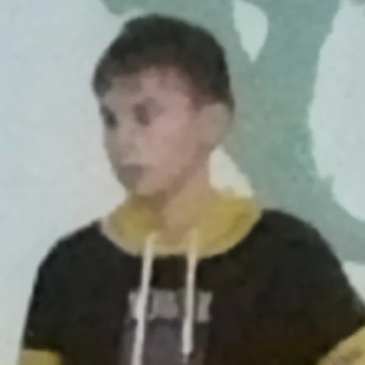 Стикер Лудвдвд - 3