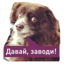 Стикер Luff Sticker Pack - 9
