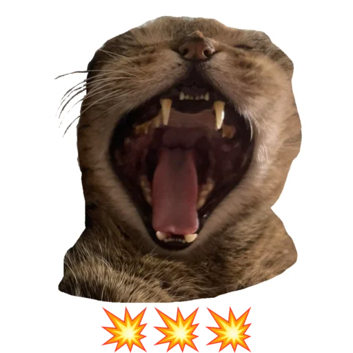 Sticker Lukas_chtototam_cotkaroche - 1