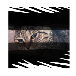 Стикер Лукес - 3