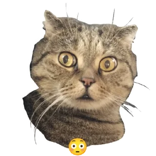 Стикер Лукес - 6